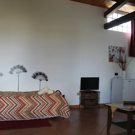 Il Gelso Nero Bed & Breakfast *